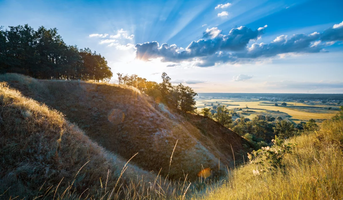 Informacyjnie o firmach wynajmujących meble na eventy.