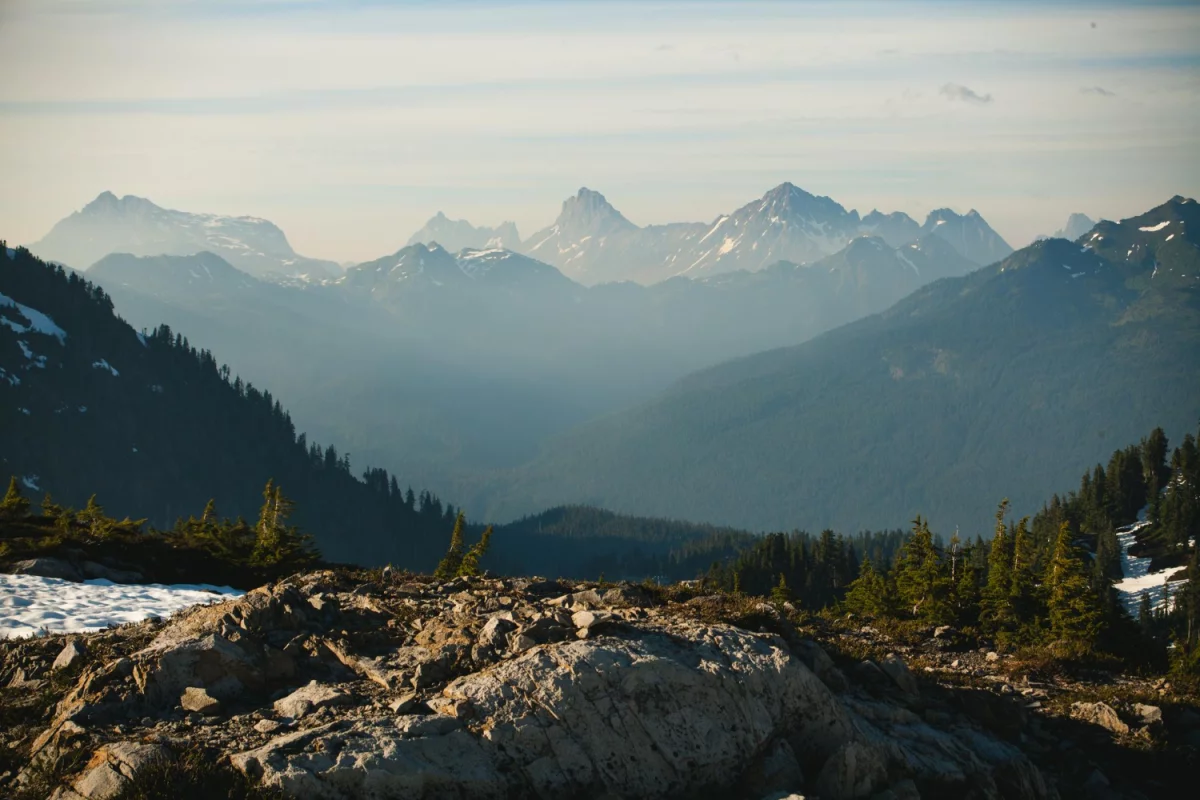 7 dni obiadów za 7 zł dziennie: tanie przepisy, lista zakupów i plan oszczędzania żywności