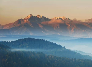 Jak wybrać naturalne kosmetyki: 10 składników, których unikać, przepisy DIY i ranking budżetowych perełek