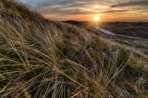 Czy w 2024 warto  kupić wyposażenie domu?